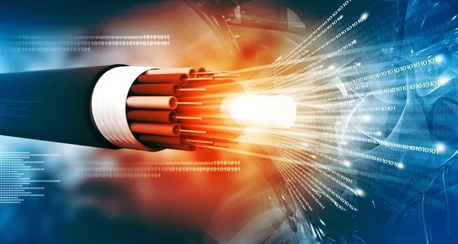 fiber-graphic-1784135872793.webp